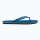 Quiksilver Molokai Core men's flip flops blue AQYL101325 2