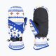 Women's Snowboard Gloves ROXY Jetty Mitt bright white chandall