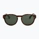 ROXY Vertex Polarized tortoise brown/green women's sunglasses 2
