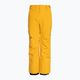 Quiksilver Estate Children's Snowboard Pants Youth mineral yellow 5