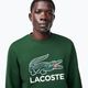 Lacoste men's SH1281 green sweatshirt 4