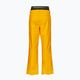 Picture Picture men's ski trousers Object 20/20 yellow MPT114 2