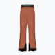 Picture Picture Object 20/20 Nutz men's ski trousers MPT114 2