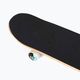 Element Hatched Red Blue coloured classic skateboard W4CPC4 6