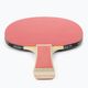 Donic-Schildkröt Appelgren 300 Table Tennis Set 788634 3