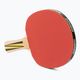 Donic-Schildkröt Top Team 500 Table Tennis Set 788480 4