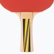Donic-Schildkröt Top Team 500 Table Tennis Set 788480 5