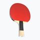 Butterfly table tennis racket Timo Boll SG33 10