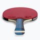 Butterfly table tennis racket Timo Boll Gold 2