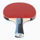 Butterfly Timo Boll Sapphire table tennis racket 2