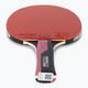 Butterfly Timo Boll Ruby table tennis racket 2