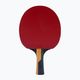 Butterfly table tennis racket Timo Boll Carbon 7