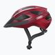 ABUS bicycle helmet Macator bordeaux red 3