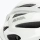 Bicycle helmet Alpina MTB 17 white/silver 7