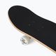Playlife Mighty Bear classic skateboard 880309 6