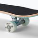 Playlife classic skateboard Lion blue 880312 7