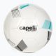 Capelli Tribeca Metro Team football AGE-5884 size 5