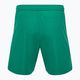 Capelli Sport Cs One Adult Match green/white children's football shorts 2