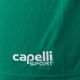 Capelli Sport Cs One Adult Match green/white children's football shorts 3