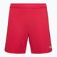 Capelli Sport Cs One Adult Match red/white children's football shorts