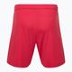 Capelli Sport Cs One Adult Match red/white children's football shorts 2
