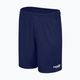Capelli Sport Cs One Adult Match navy/white children's football shorts 4