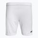 Capelli Sport Cs One Youth Match white/black children's football shorts