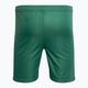 Capelli Sport Cs One Youth Match green/white children's football shorts 2