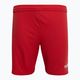 Capelli Sport Cs One Youth Match red/white children's football shorts