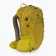 Deuter Futura 23 l hiking backpack yellow 3400121 2