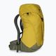Deuter AC Lite 30 l hiking backpack 342102182080 turmeric/khaki 2