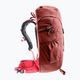 Deuter Climber 22 l redwood/hibiscus children's hiking backpack 3