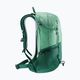 Women's hiking backpack deuter Futura 21 l SL spearmint/seagreen 3