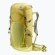 Deuter Speed Lite 30 l hiking backpack linden/sprout 2