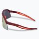 DYNAFIT Ultra Revo burgundy/hot coral sunglasses 08-0000049913 4