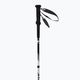 DYNAFIT Alpine Pro nimbus running poles 3