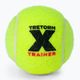 Tretorn X-Trainer 72 tennis balls yellow 3T44 474235 2