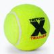 Tretorn X-Trainer 72 tennis balls yellow 3T44 474235 3