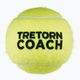 Tretorn Coach 72 tennis balls green 474402 2