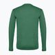 Men's Salewa Puez Melange Dry trekking shirt green 00-0000027453 2