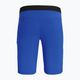 Men's Salewa Agner Light hiking shorts blue 00-0000027380 5