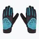 DYNAFIT Radical 2 Softshell skit gloves storm blue 3