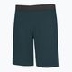 Men's Wild Country Session climbing shorts blue 40-0000095193 4