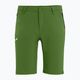Salewa Talveno DST men's hiking shorts light green 00-0000027064 4
