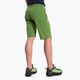 Salewa Talveno DST men's hiking shorts light green 00-0000027064 3