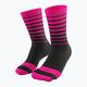 DYNAFIT Live To Ride cycling socks black/pink 08-0000071746