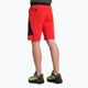 Men's Salewa Pedroc 3 DST Cargo trekking shorts red 00-0000028601 3