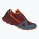 Men's DYNAFIT Ultra 100 running shoe burgundy-blue 08-0000064084 10