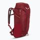 Salewa Alp Mate women's trekking backpack 24 l burgundy 100-0000001426 2