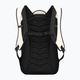 Salewa Fanes 24 l oatmeal hiking backpack 2